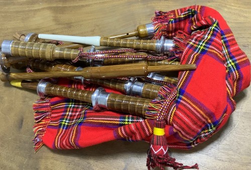 Scottish great highland - scottish,
