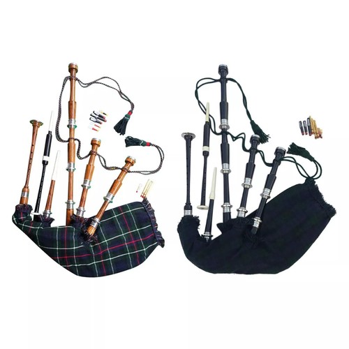 Scottish great highland - scottish,