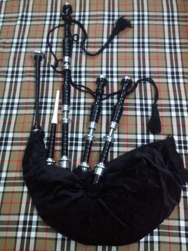 Scottish great highland - great,