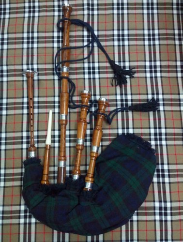Scottish highland bagpipe - highland,