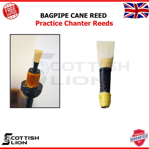 Scottish great highland - great,