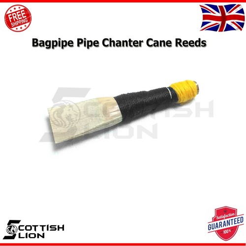 Great highland scottish - great,