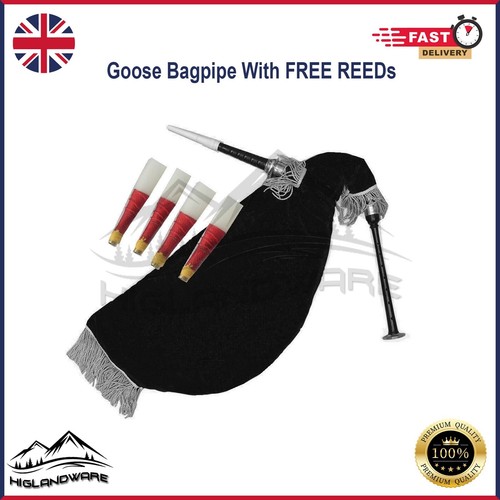 Practice scottish goose - scottish,