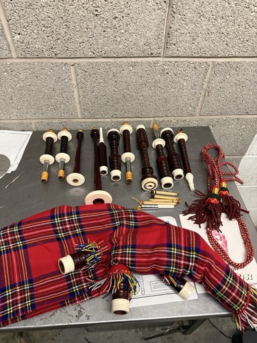 Scottish great highland - great,