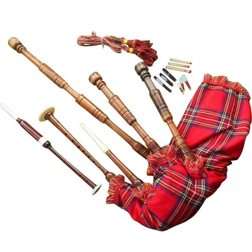 Scottish great highland - scottish,