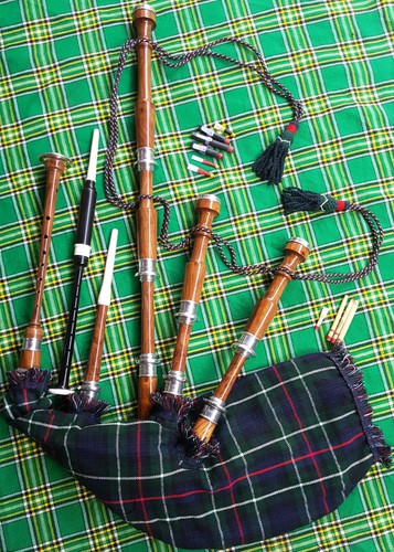 Scottish great highland - scottish,