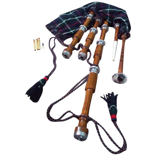 Scottish great highland - great,