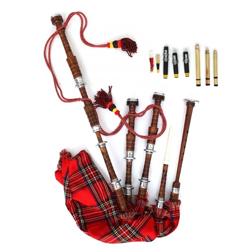 Scottish great highland - scottish,