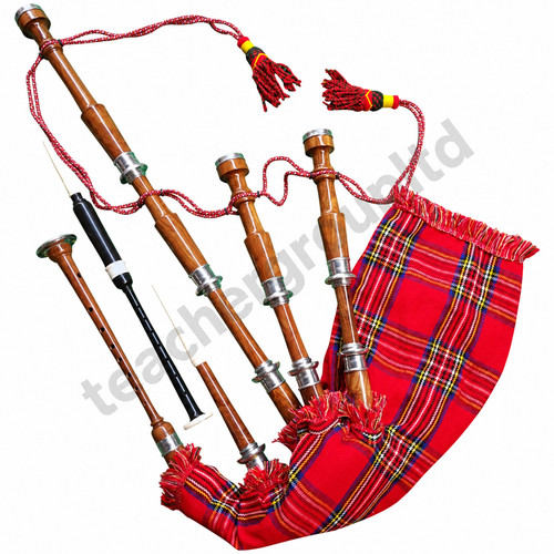 Scottish great highland - sc,