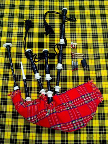 Scottish great highland - scottish,