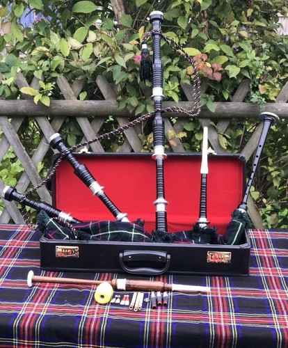 Scottish great highland - scottish,