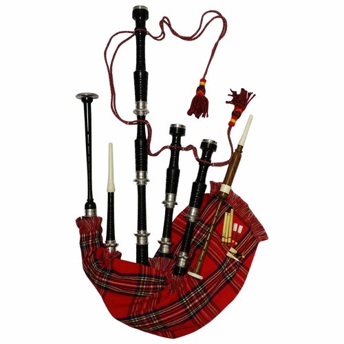Scottish great highland - scottish,
