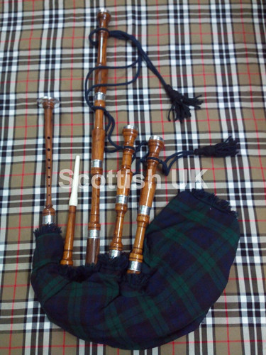 Scottish great highland - great,