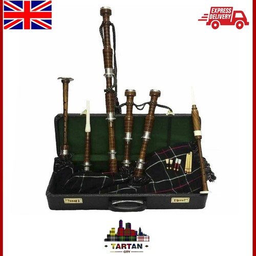 Scottish great highland - scottish,
